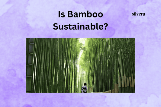 Is Bamboo Sustainable 